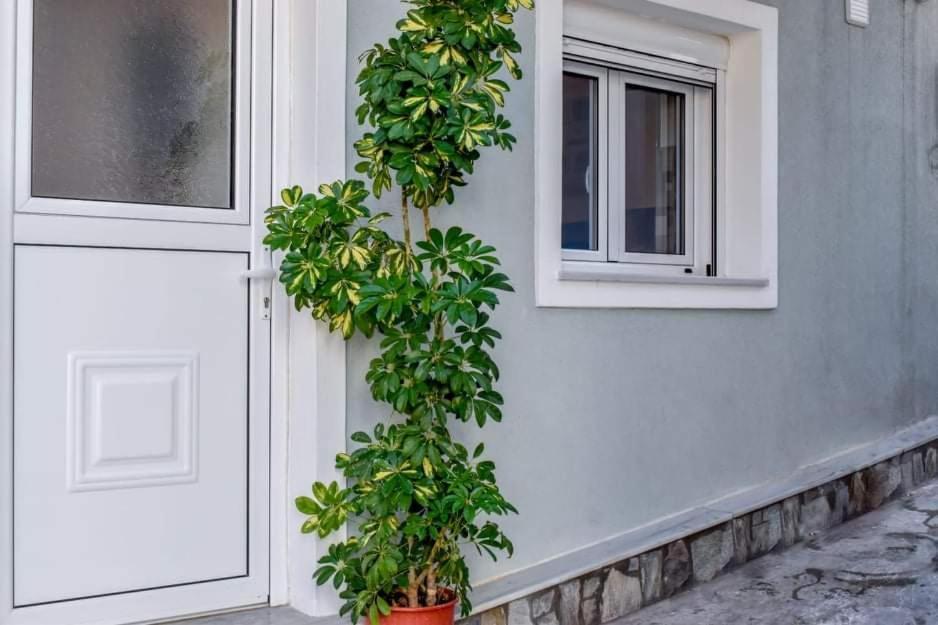 Apartmán Klaidis House Skiathos Exteriér fotografie
